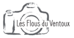 logo-lfv.png