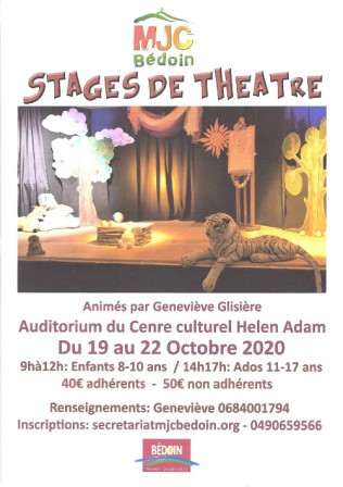 annonce-stage-theatre-MJC-Bedoin-oct-2020.jpg